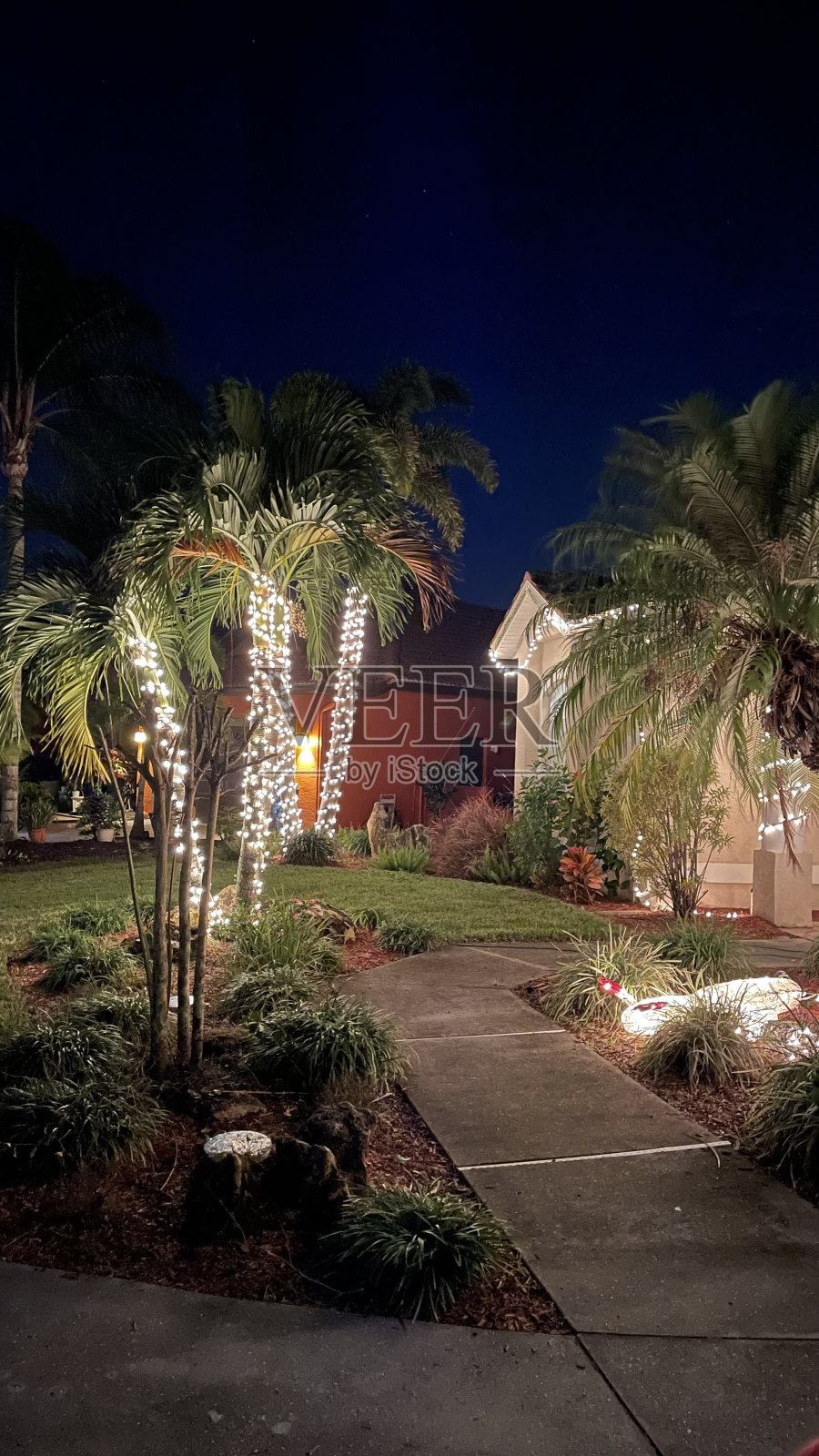 抑制的吸引力照片摄影图片