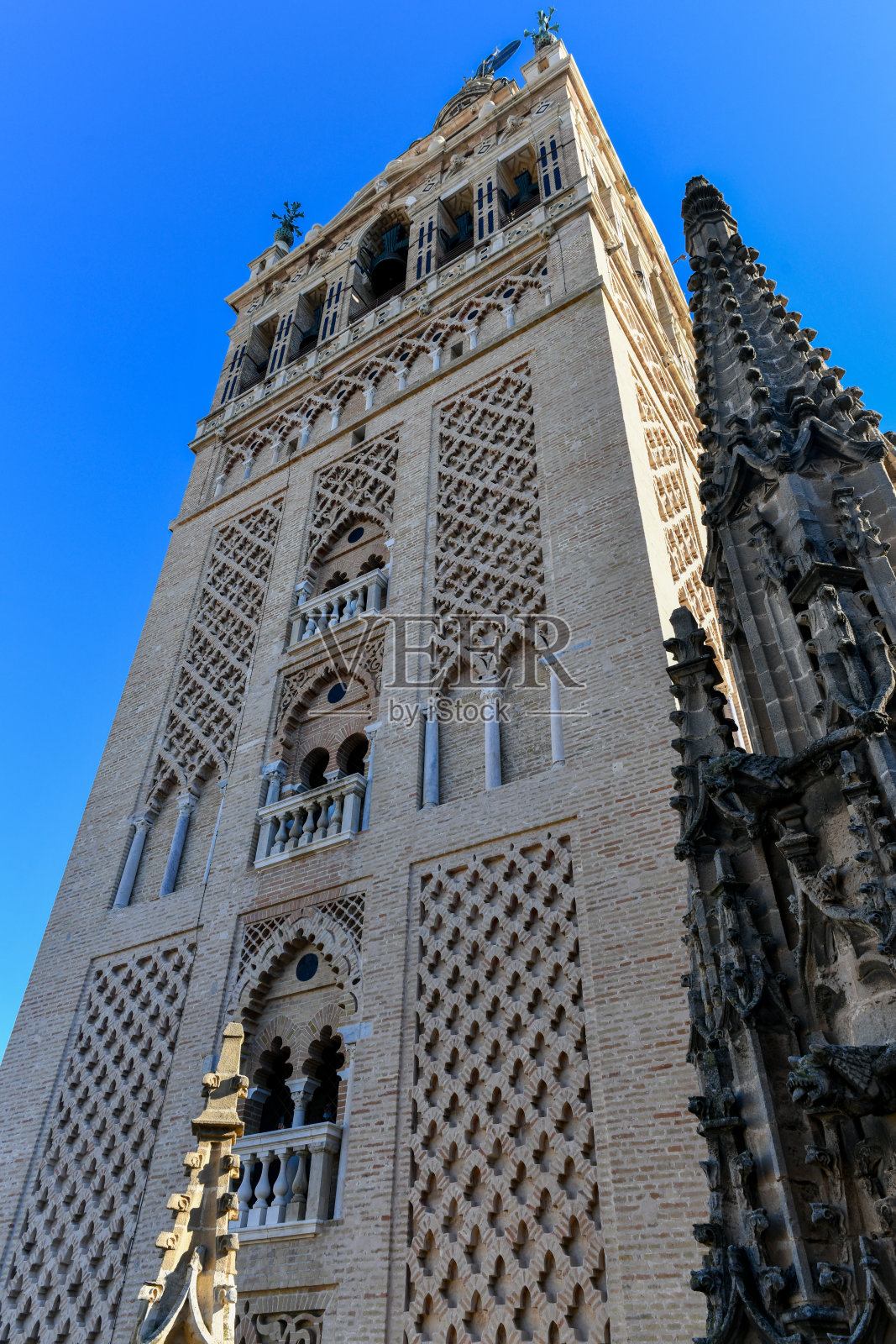 西班牙塞维利亚圣玛丽大教堂照片摄影图片