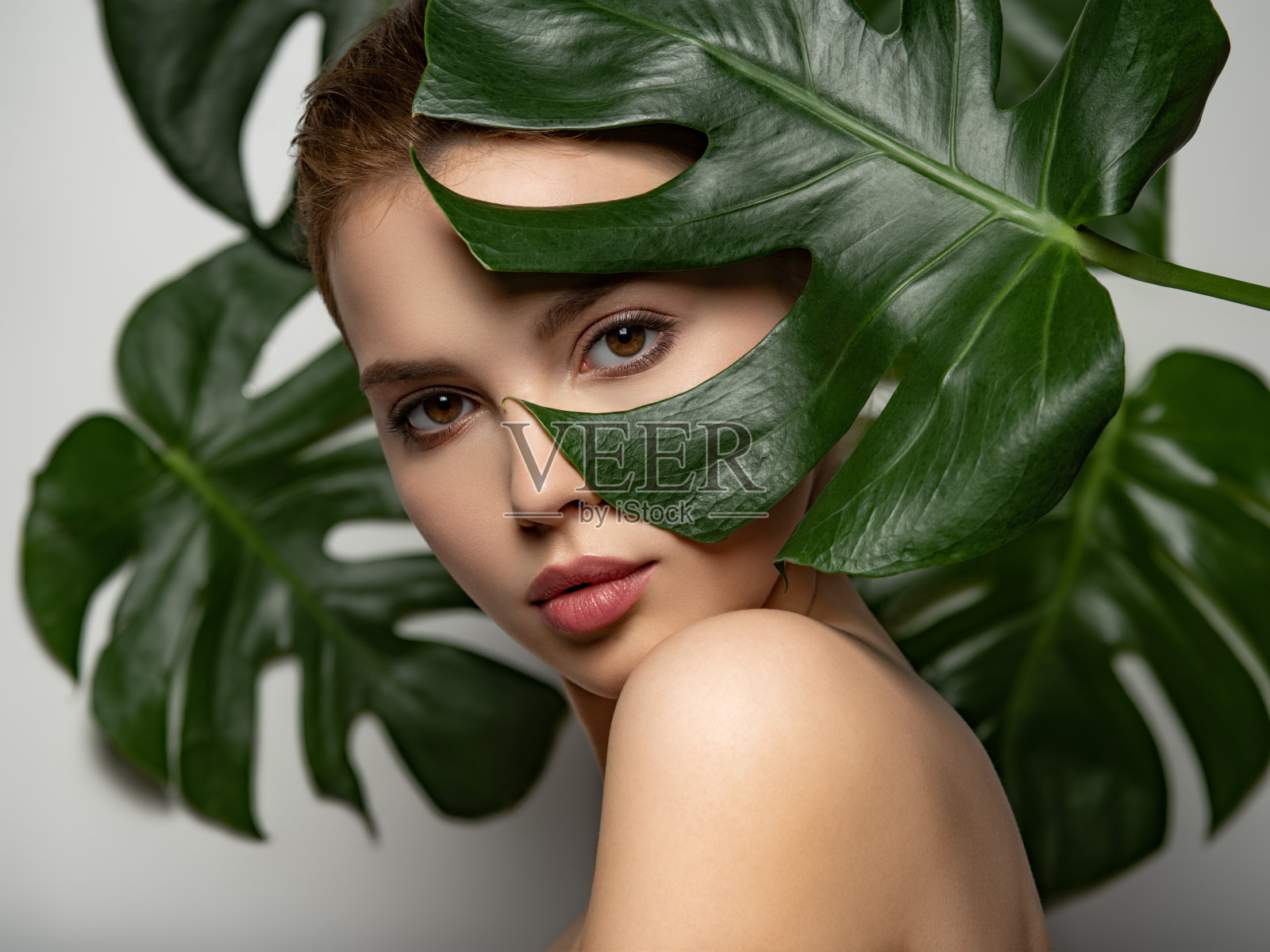 美丽的女人与绿色的叶子近脸和身体。特写女孩的脸与绿色离开。美丽的女孩在护肤美容的概念。大热带树叶模型，摆姿势，工作室。布朗化妆。照片摄影图片