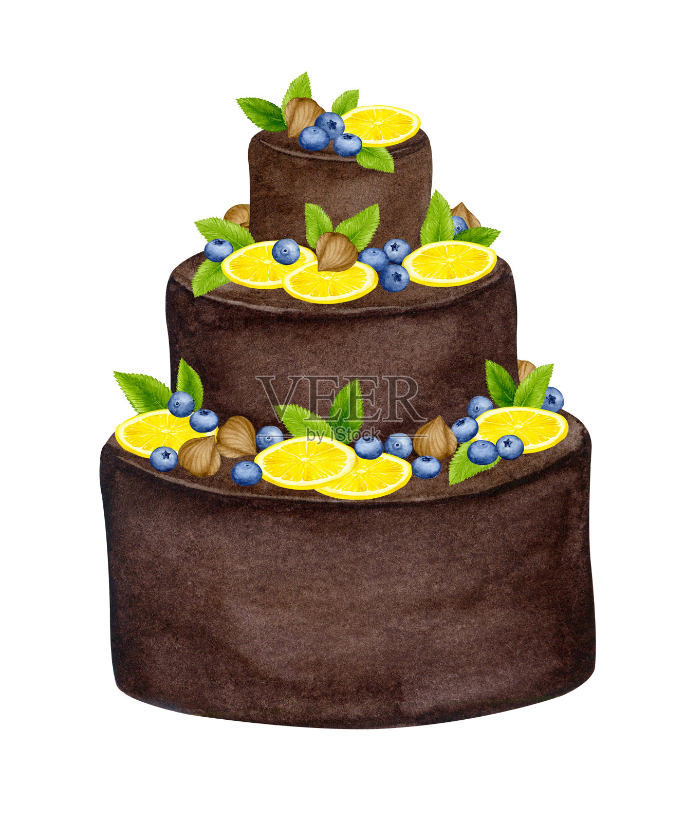 用水果、坚果和薄荷装饰的巧克力蛋糕。水彩节日剪纸设计的明信片，贺卡，邀请，菜单，标志，织物印花。婚礼、生日、周年纪念设计设计元素图片