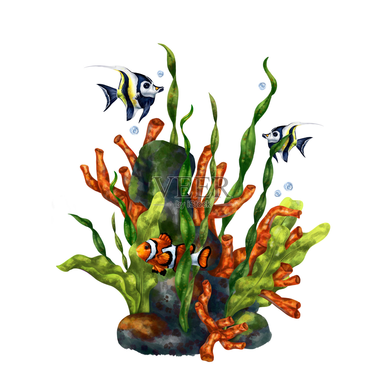 水下世界的明亮构图。红珊瑚，海藻，热带豹纹鱼和摩尔神像。数字插图印刷，贴纸，海报，明信片，印刷品插画图片素材