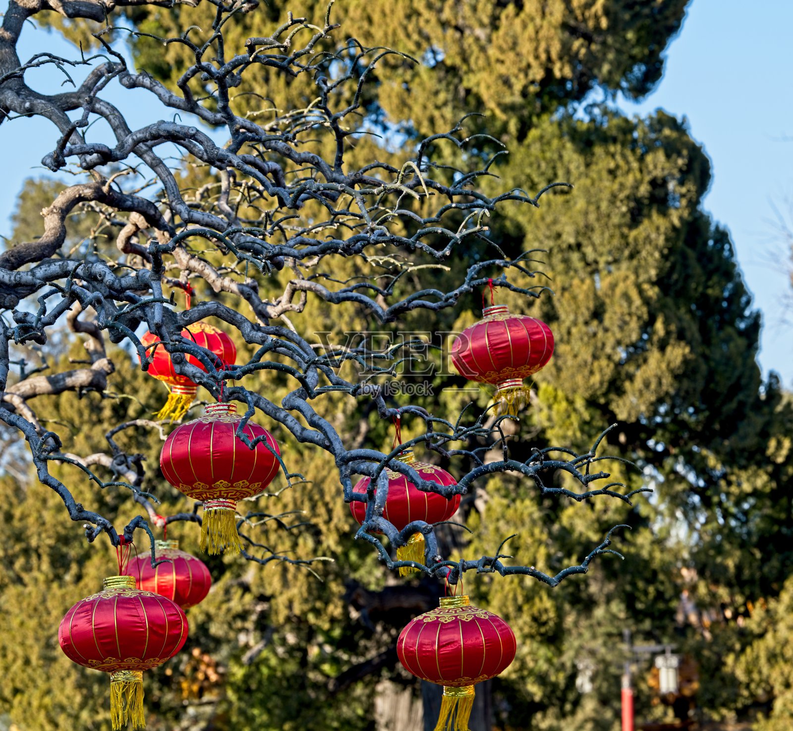 元宵节照片摄影图片