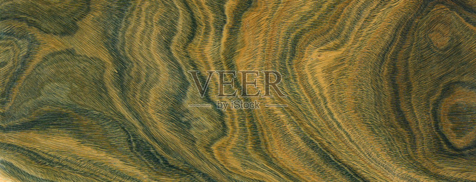 绿色和棕色的PaloSanto木纹。照片摄影图片