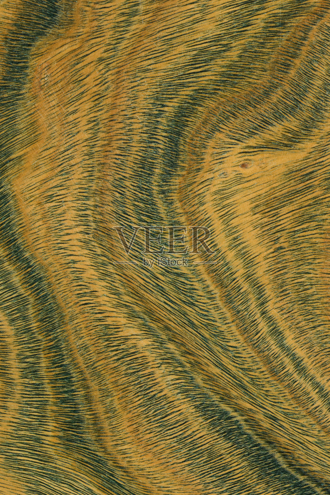 绿色和棕色的PaloSanto木纹。照片摄影图片