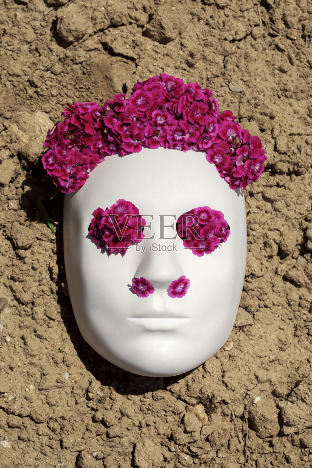 白色面膜与康乃馨花照片摄影图片