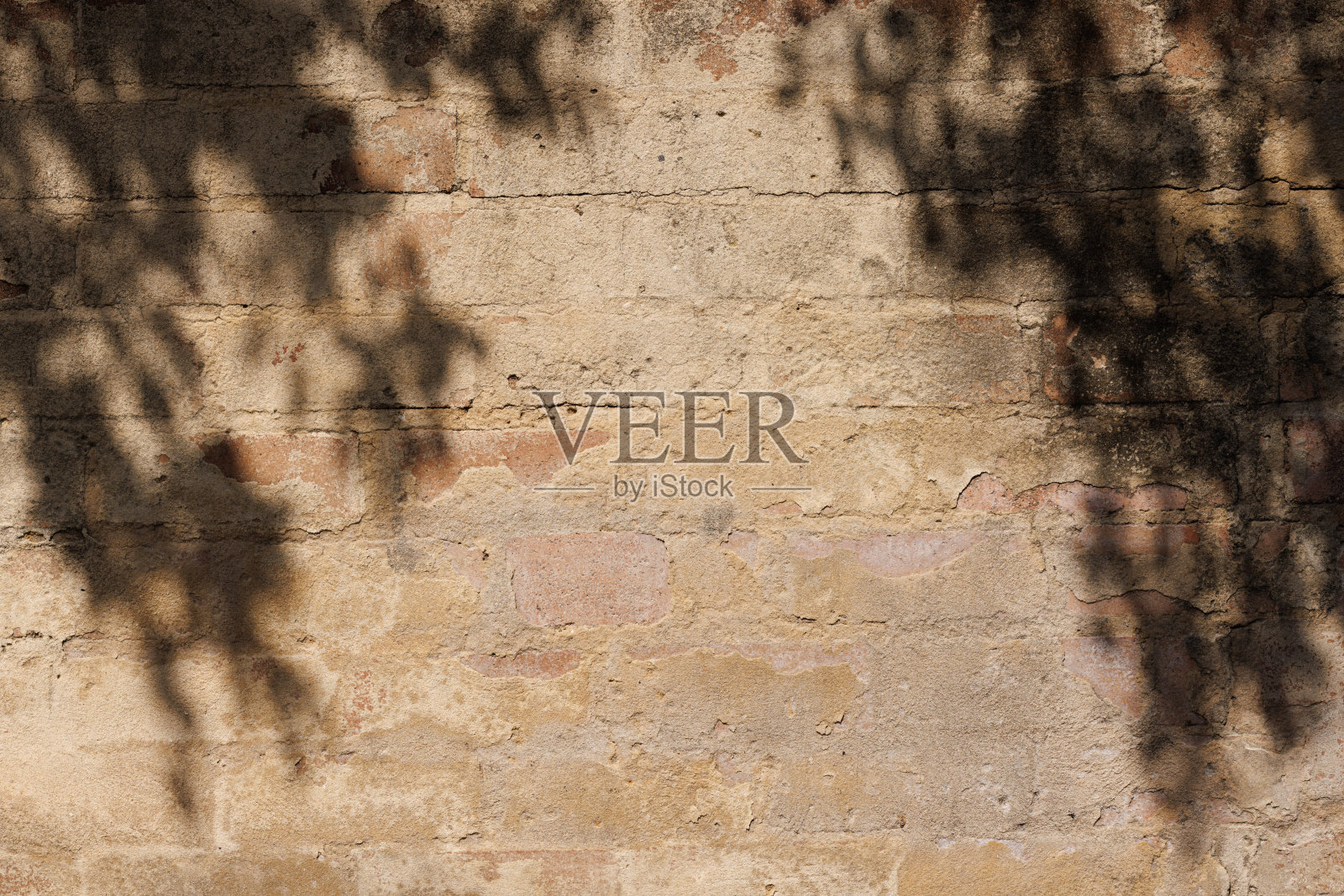 旧砖墙的一部分，墙边有树的影子照片摄影图片