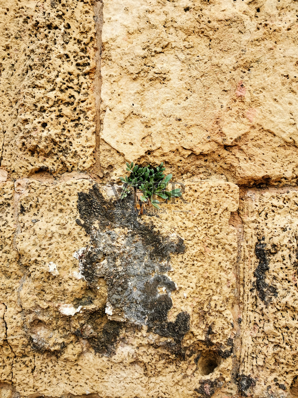 古老的天然石灰石墙照片摄影图片