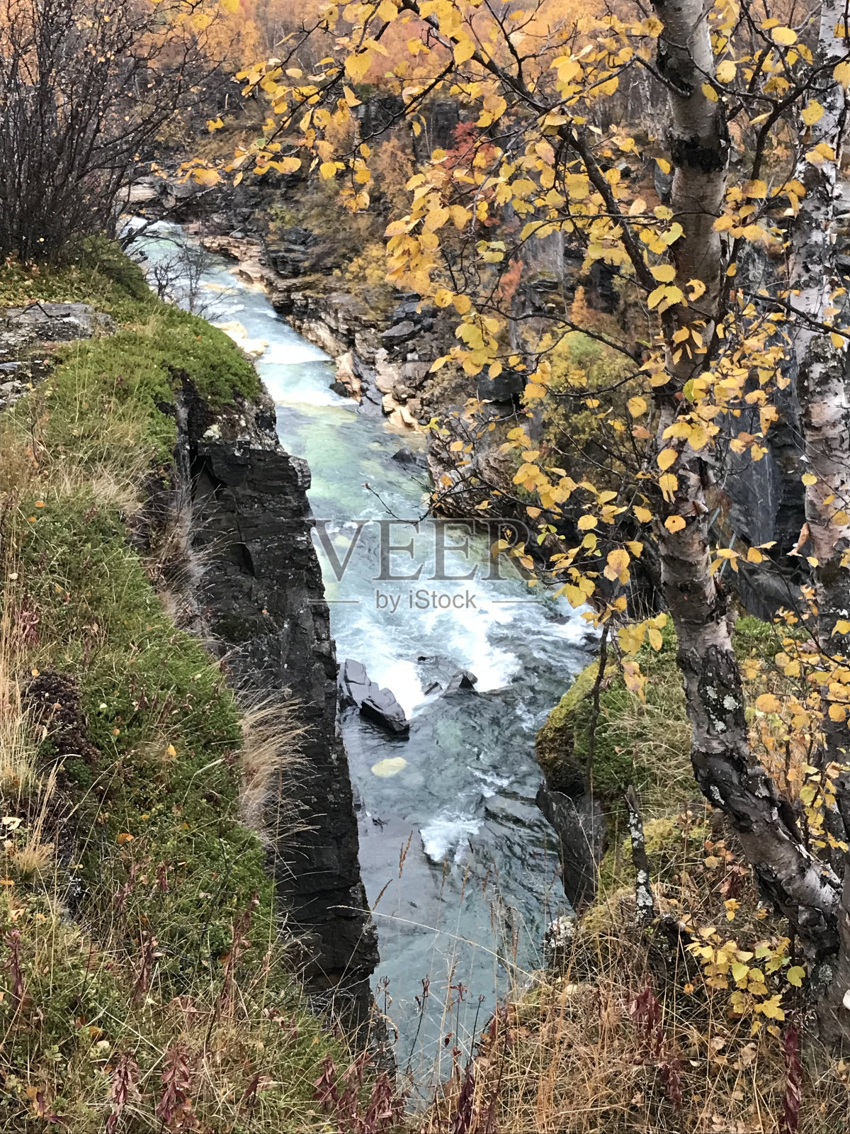 秋天在瑞典的北极自然照片摄影图片