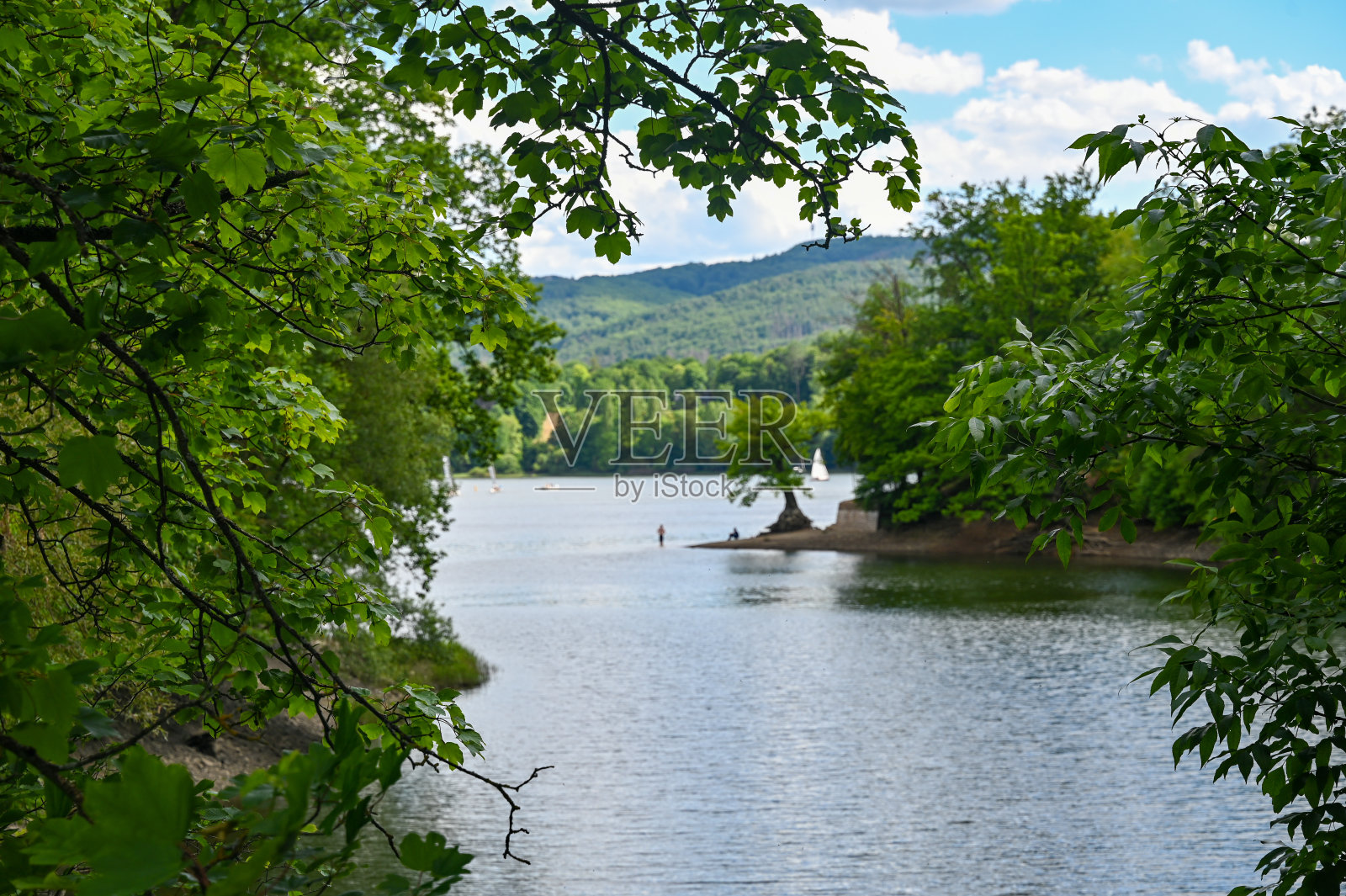 前景中的树木与埃德尔湖模糊的视图照片摄影图片