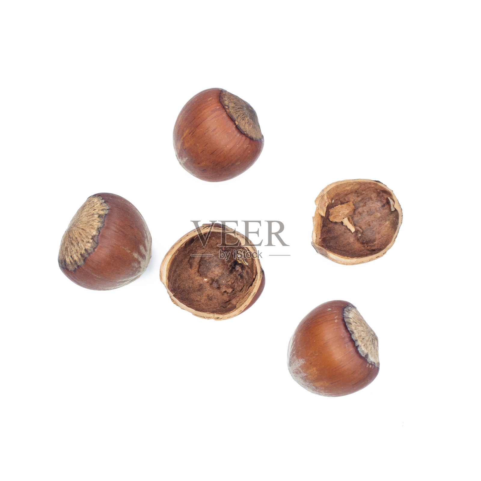 白色背景上的榛子照片摄影图片