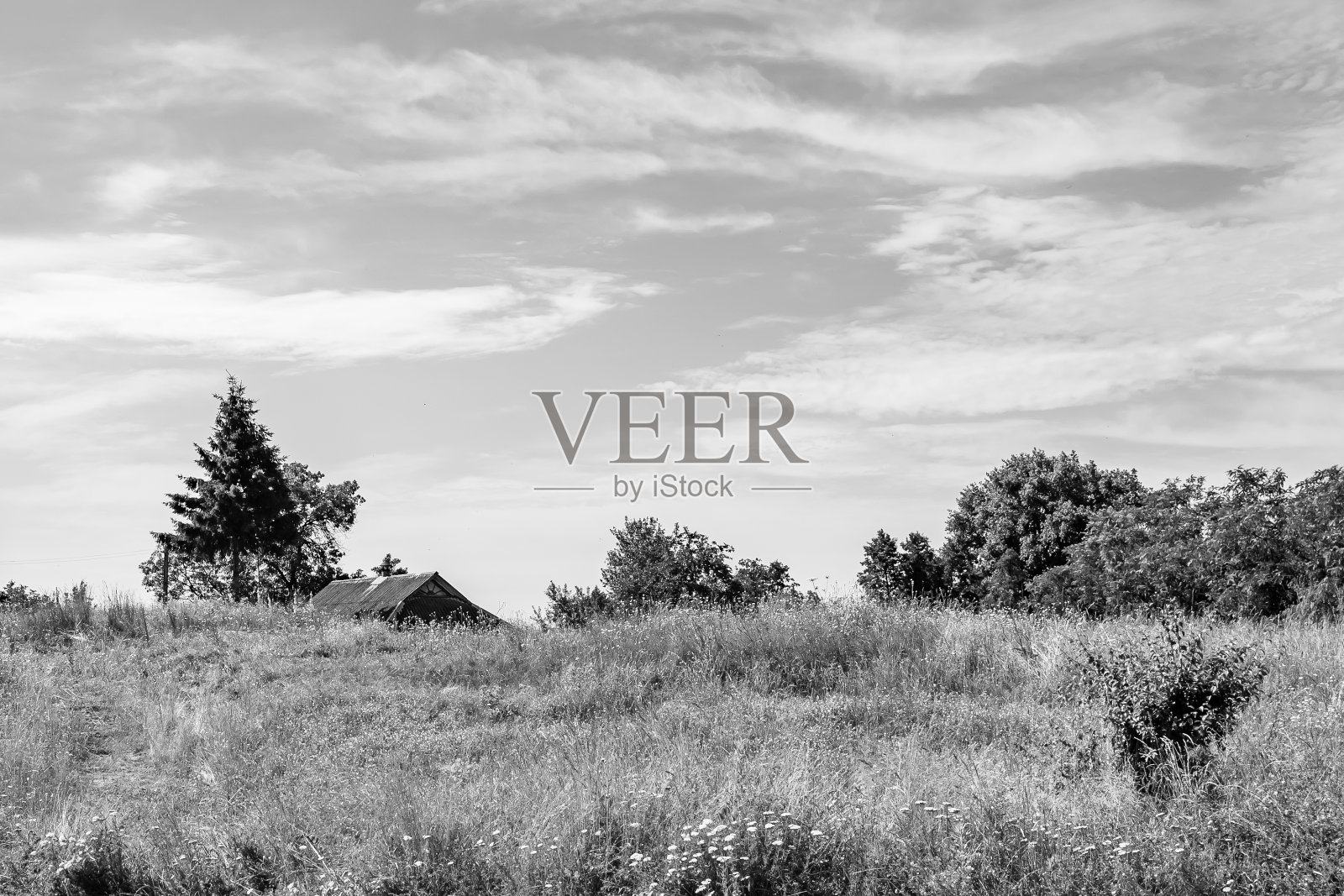 美丽的空旷的柏油路在乡村的光背景照片摄影图片