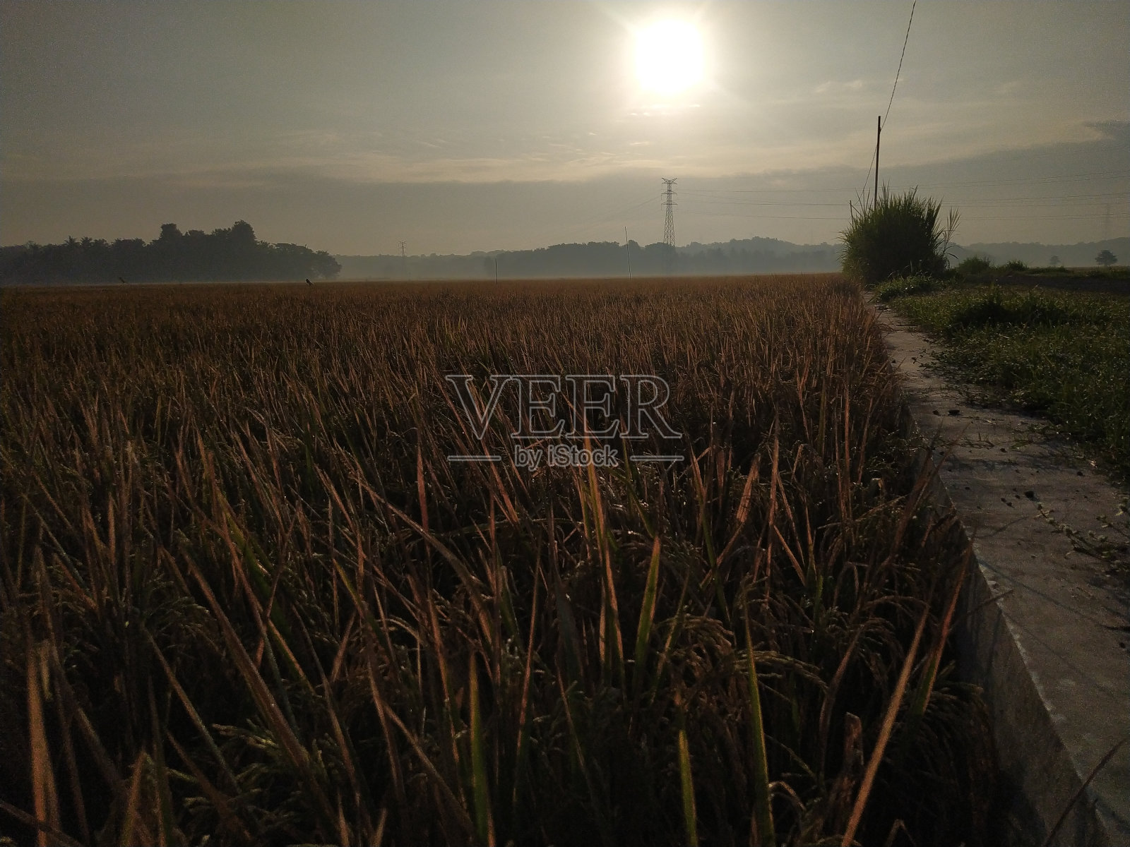 早....照片摄影图片