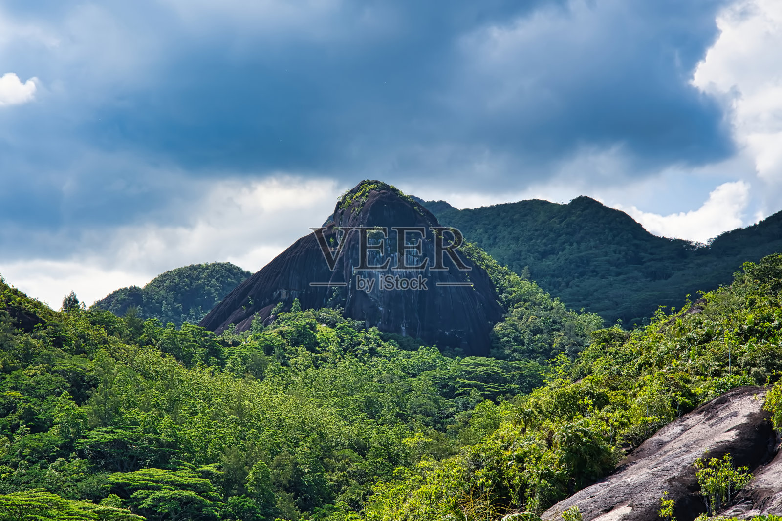 安斯主要的自然小径巨大的花岗岩在森林里照片摄影图片