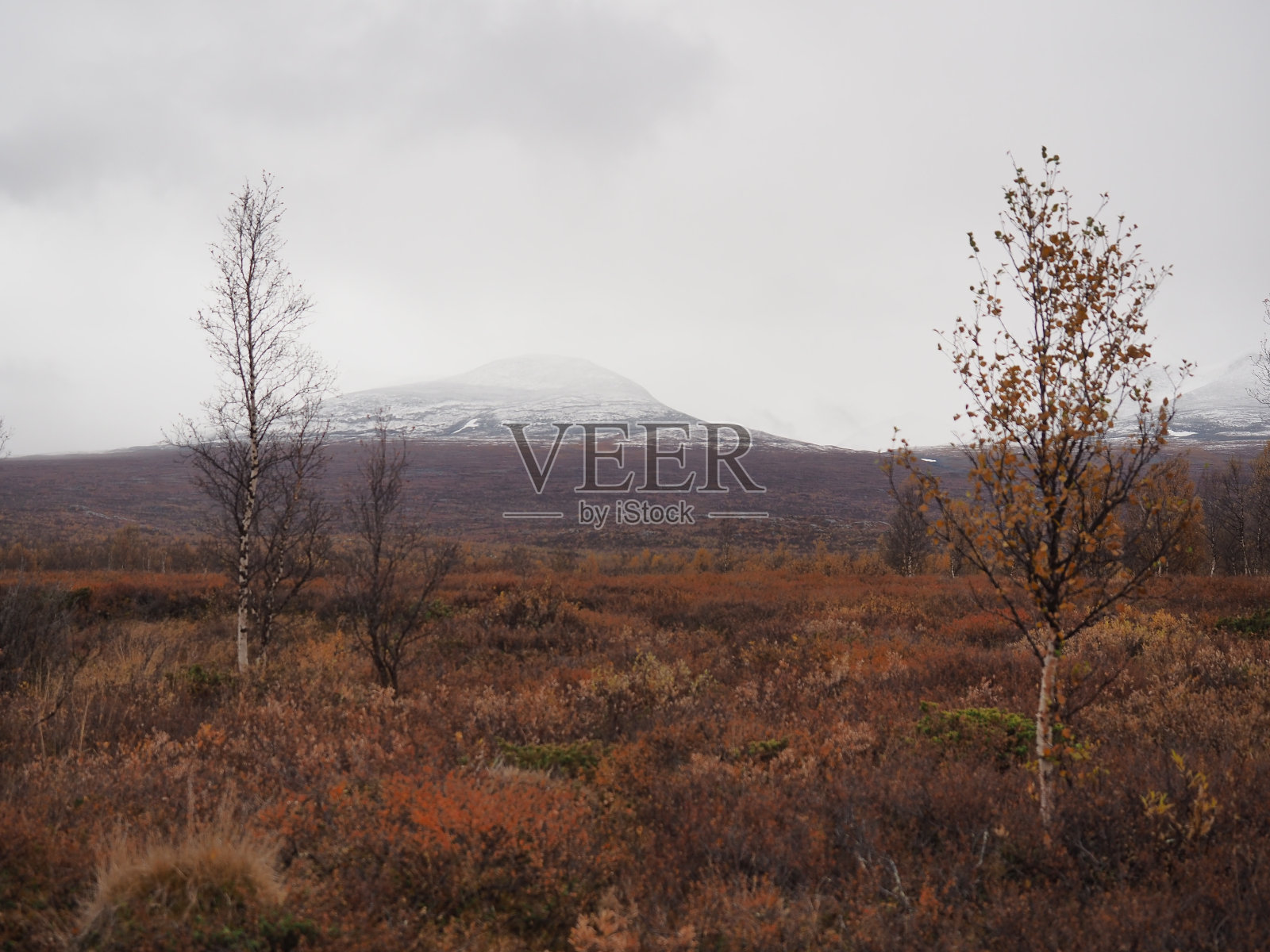 瑞典北部北极自然的秋天照片摄影图片