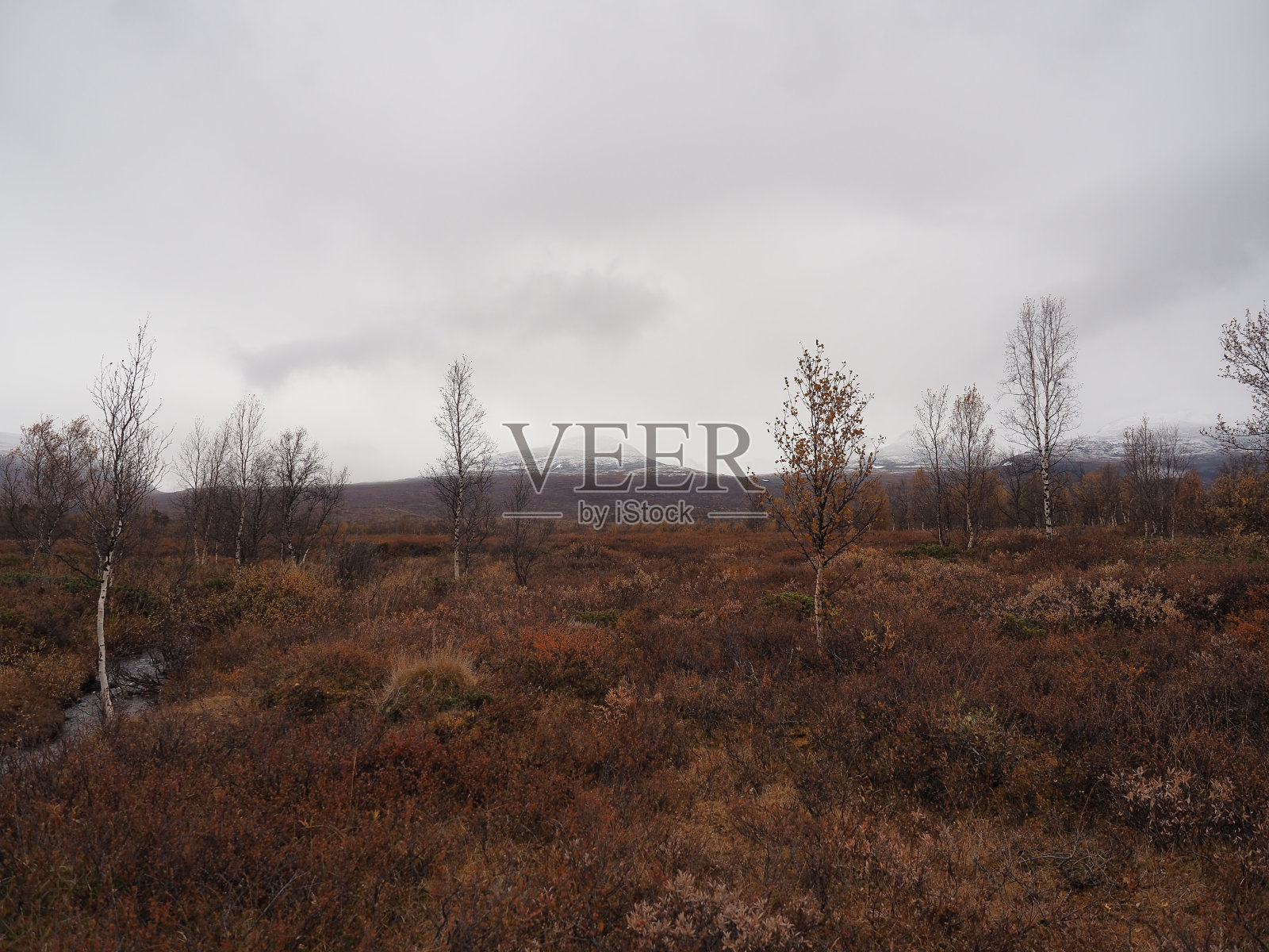 瑞典北部北极自然的秋天照片摄影图片