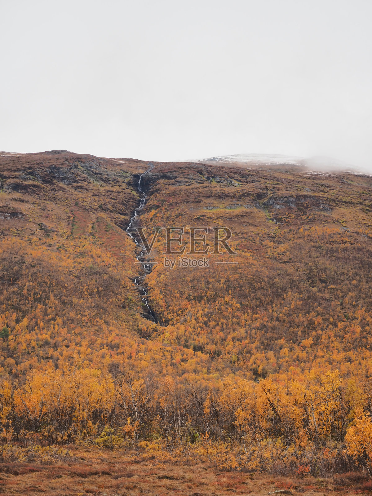 瑞典北部北极自然的秋天照片摄影图片