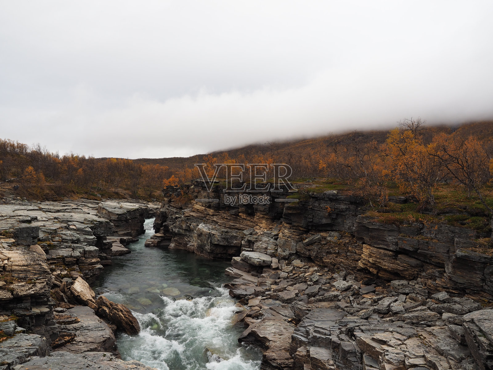 秋天的阿比斯科河在瑞典北部的北极自然照片摄影图片