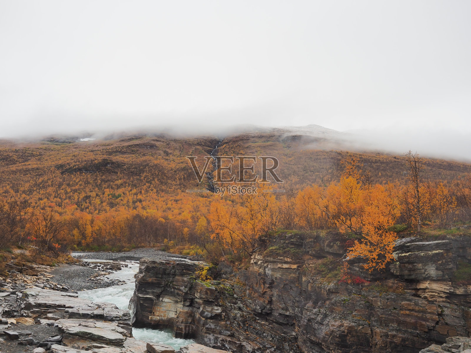 瑞典北部北极自然的秋天照片摄影图片