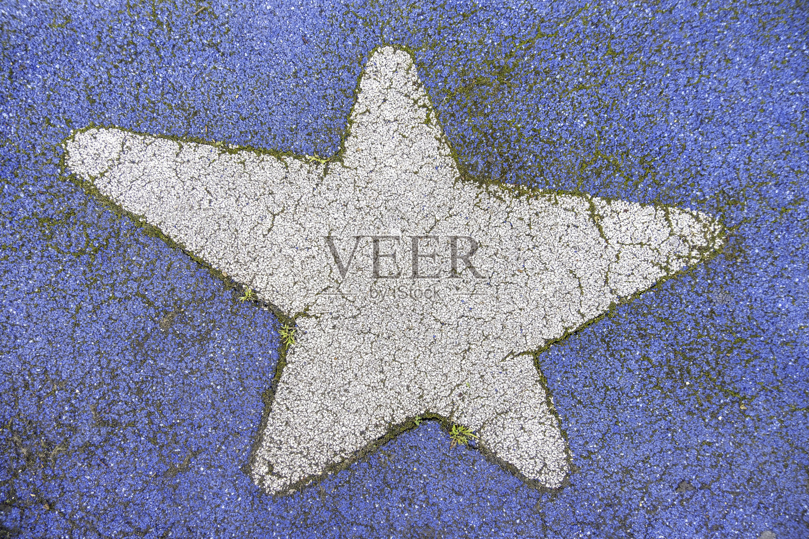 操场上的明星照片摄影图片