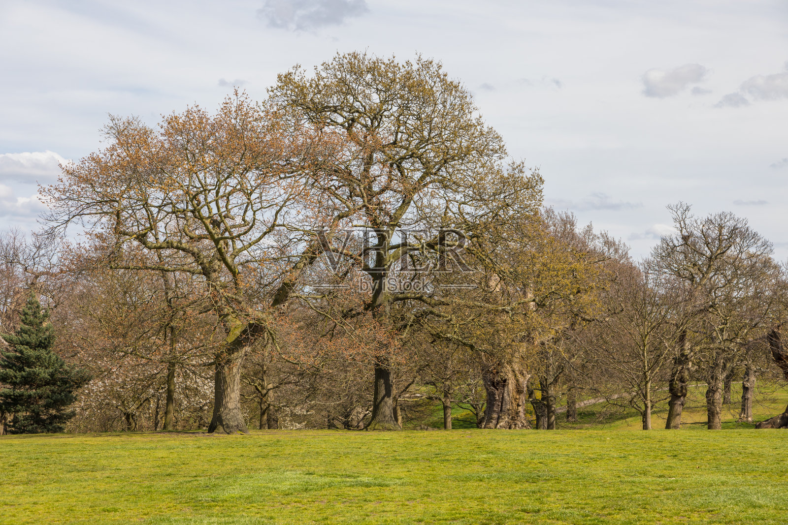 英国伦敦格林威治公园的一条小巷。照片摄影图片