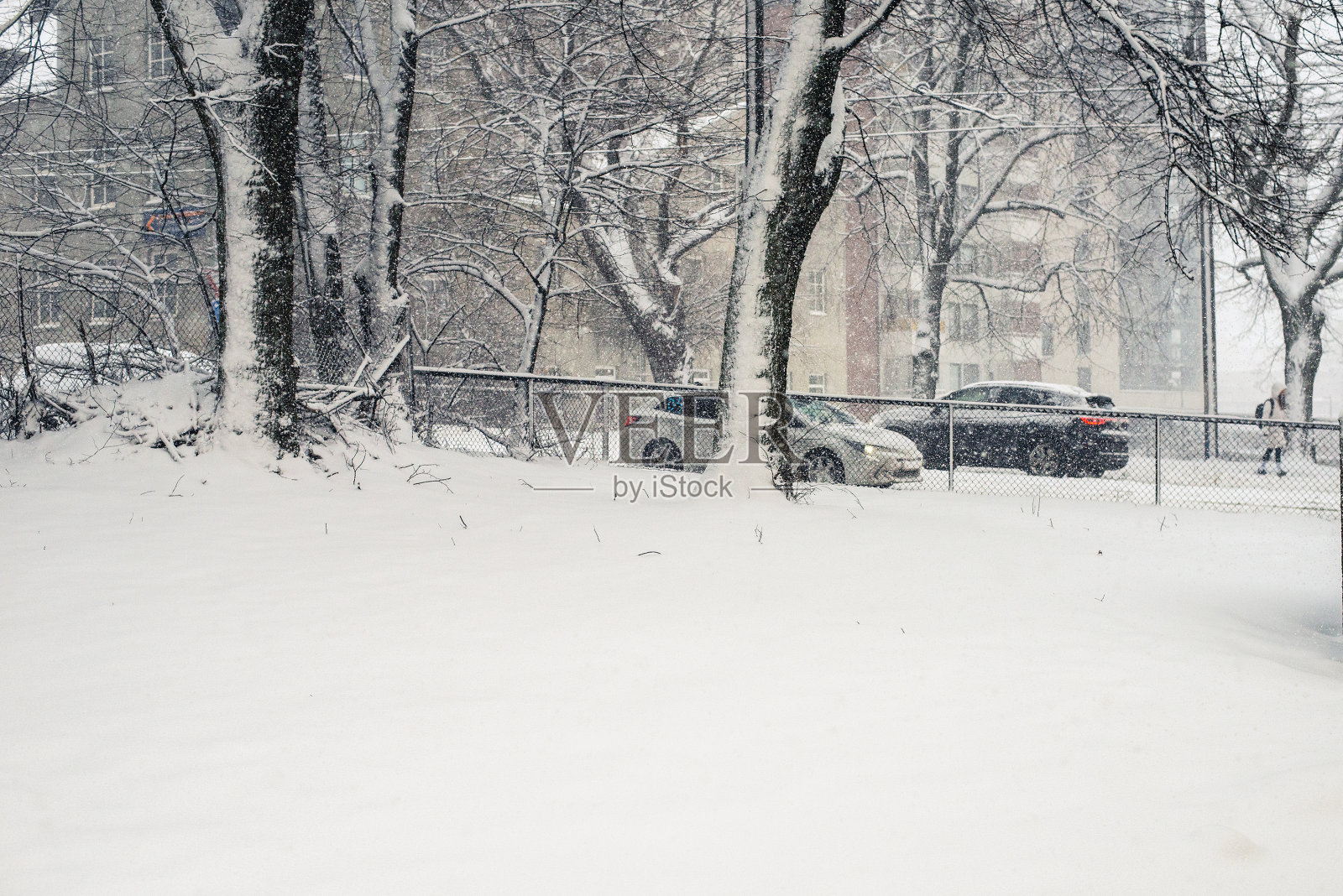 城市里的雪照片摄影图片