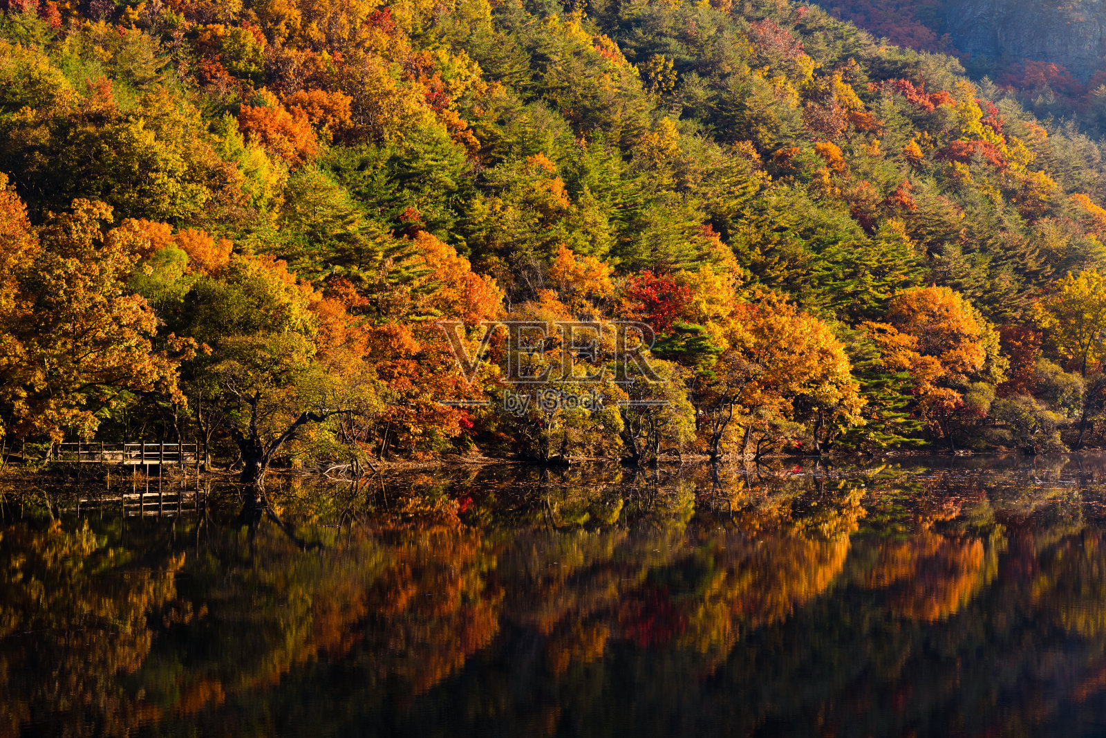 秋天，清晨湖景。灿烂的枫树倒映在平静的水面上。韩国Jusanji公园。照片摄影图片