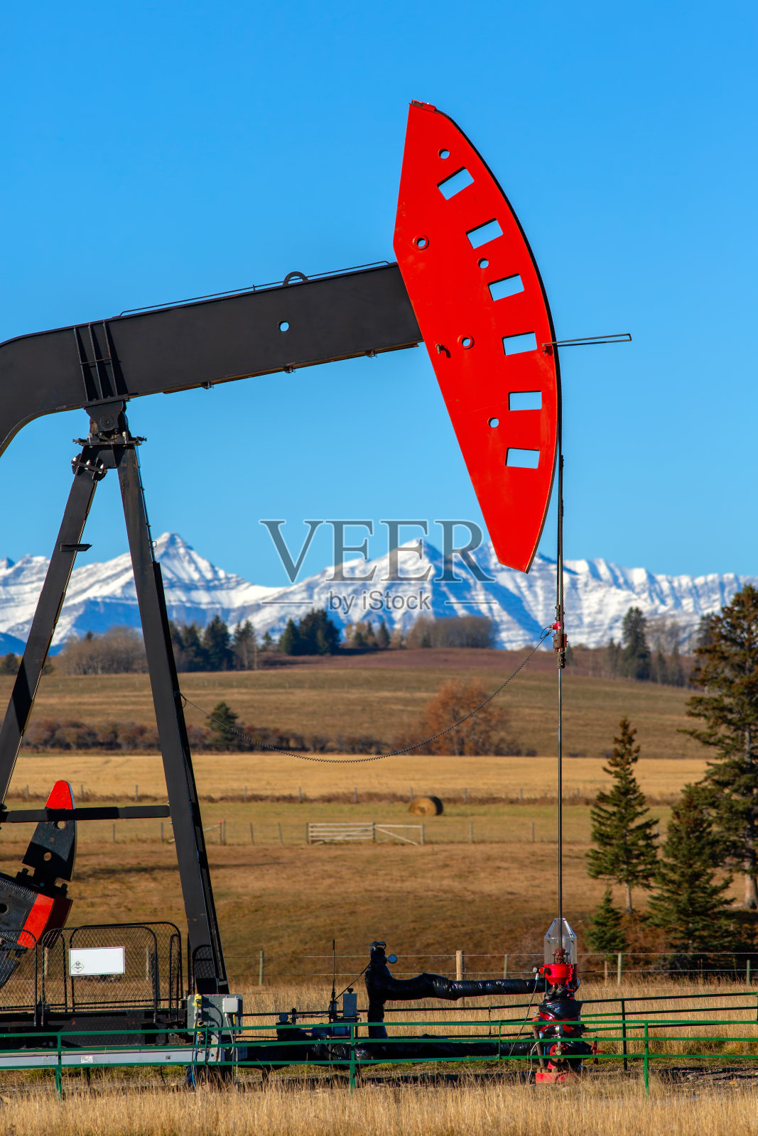 落基山山麓的南瓜照片摄影图片