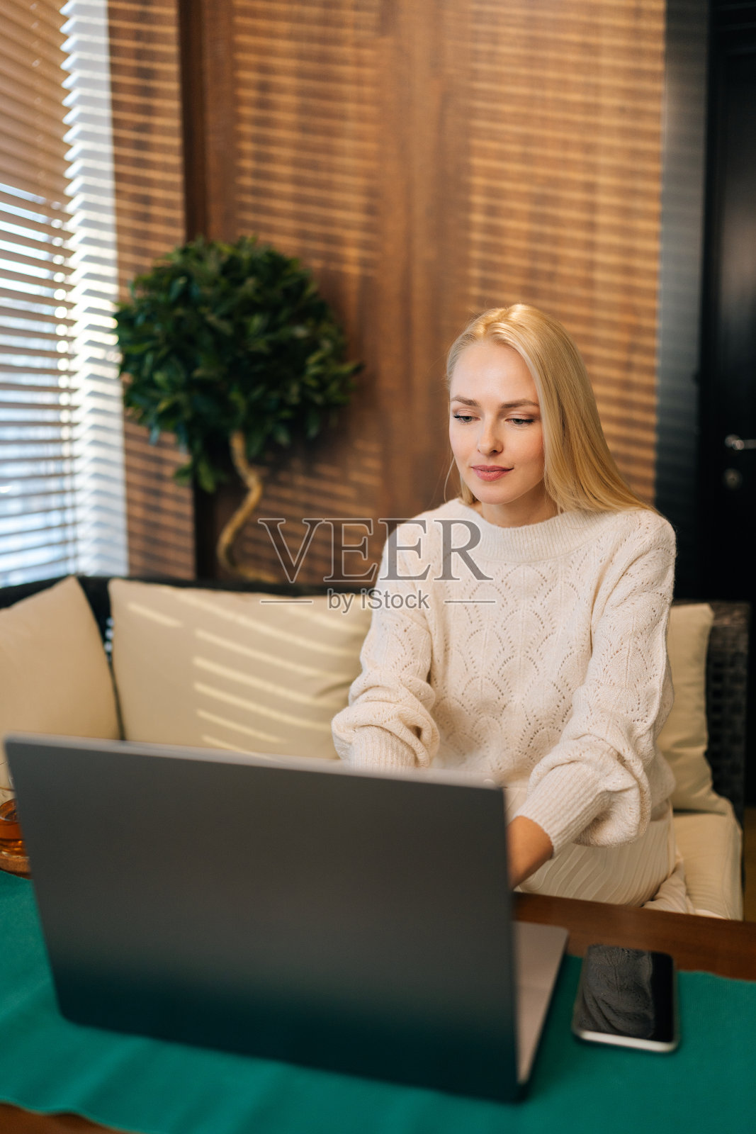 垂直肖像迷人的年轻女子在休闲服装，工作与笔记本电脑在自助餐厅，看着电脑屏幕和打字。照片摄影图片