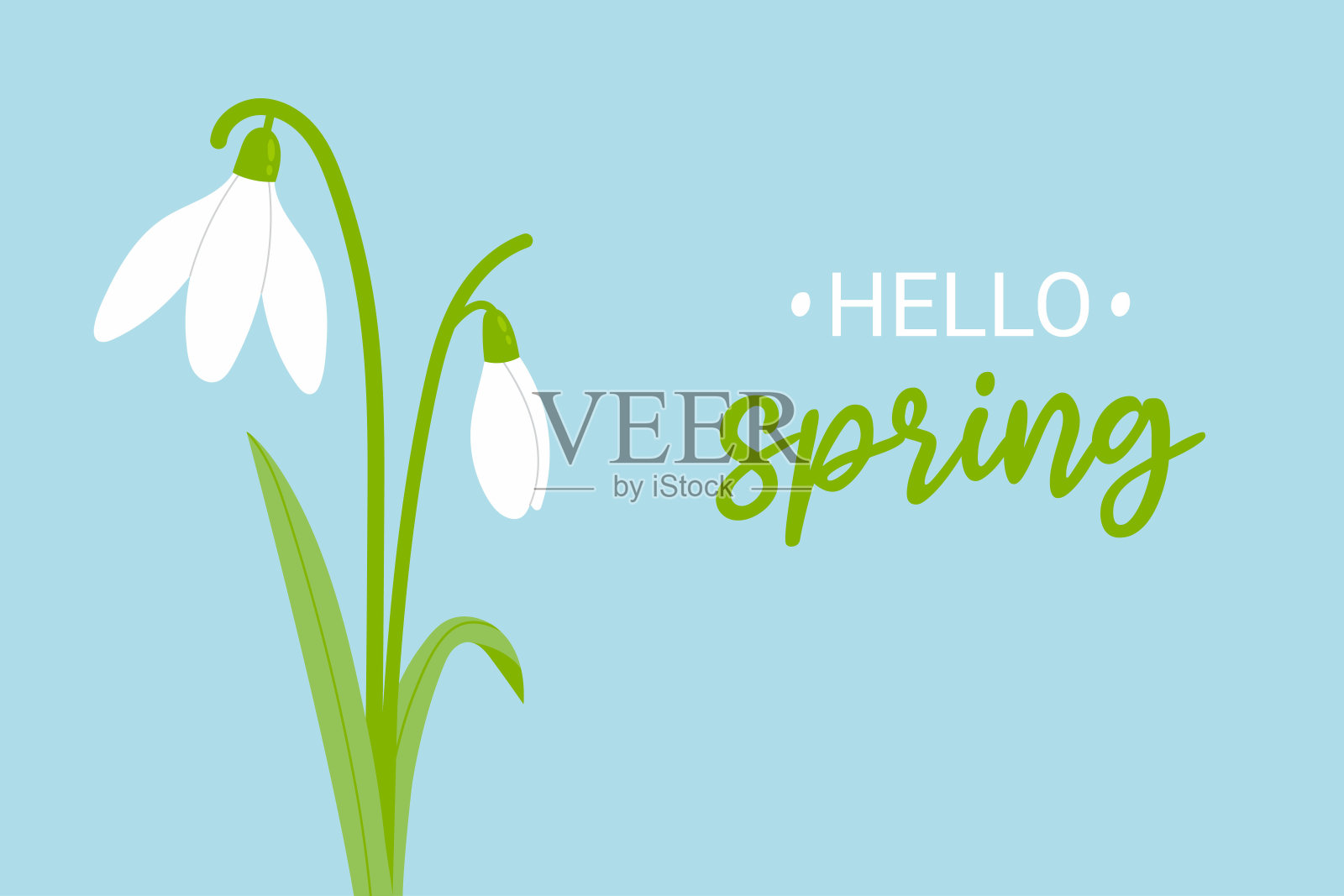 雪花莲春花。海报上写着“你好，春天”。卡通矢量插图。插画图片素材