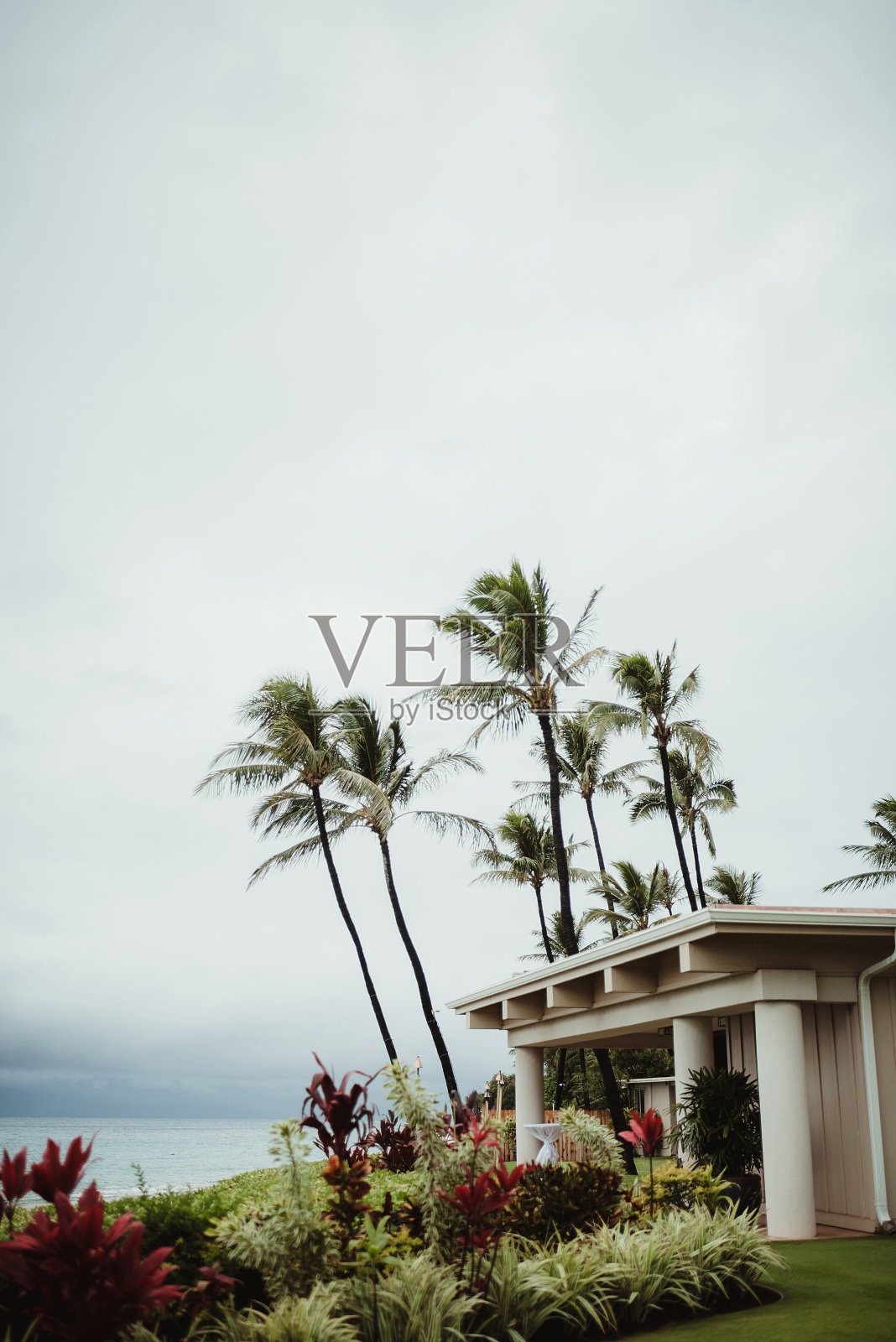 夏威夷有棕榈树的海滨建筑照片摄影图片
