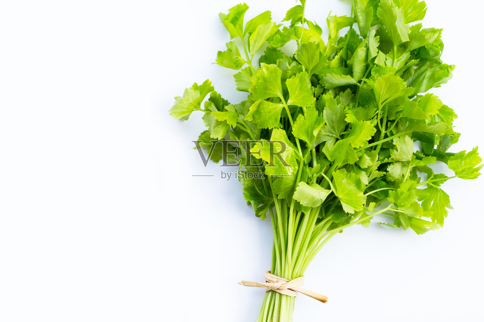 白底芹菜照片摄影图片
