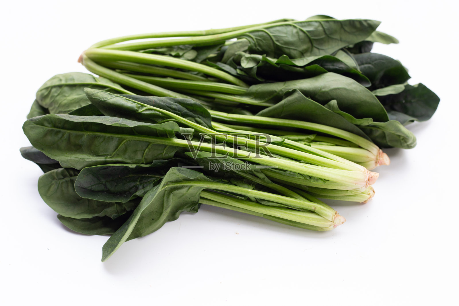 白底新鲜菠菜照片摄影图片