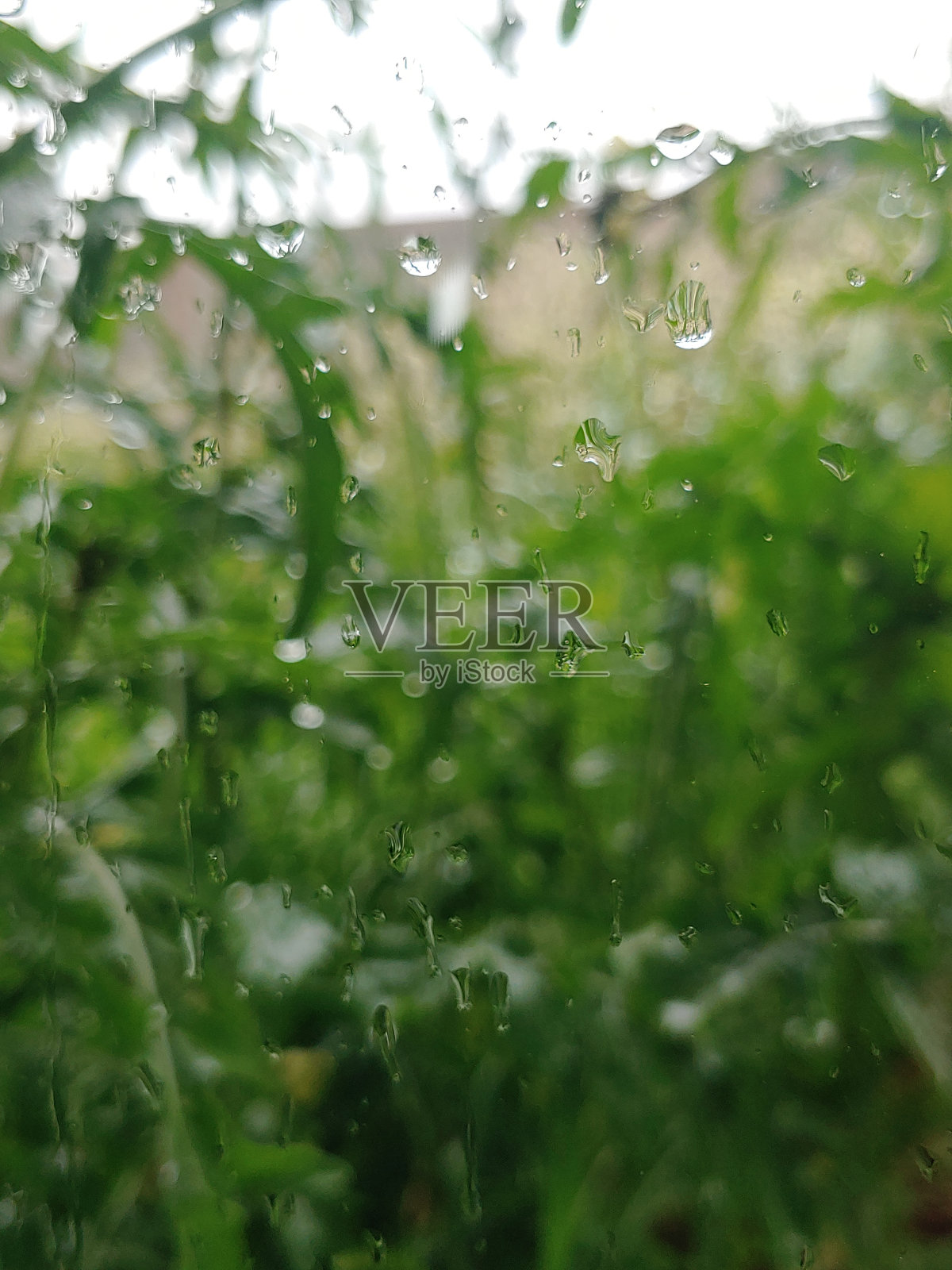 被雨水打湿的窗户照片摄影图片