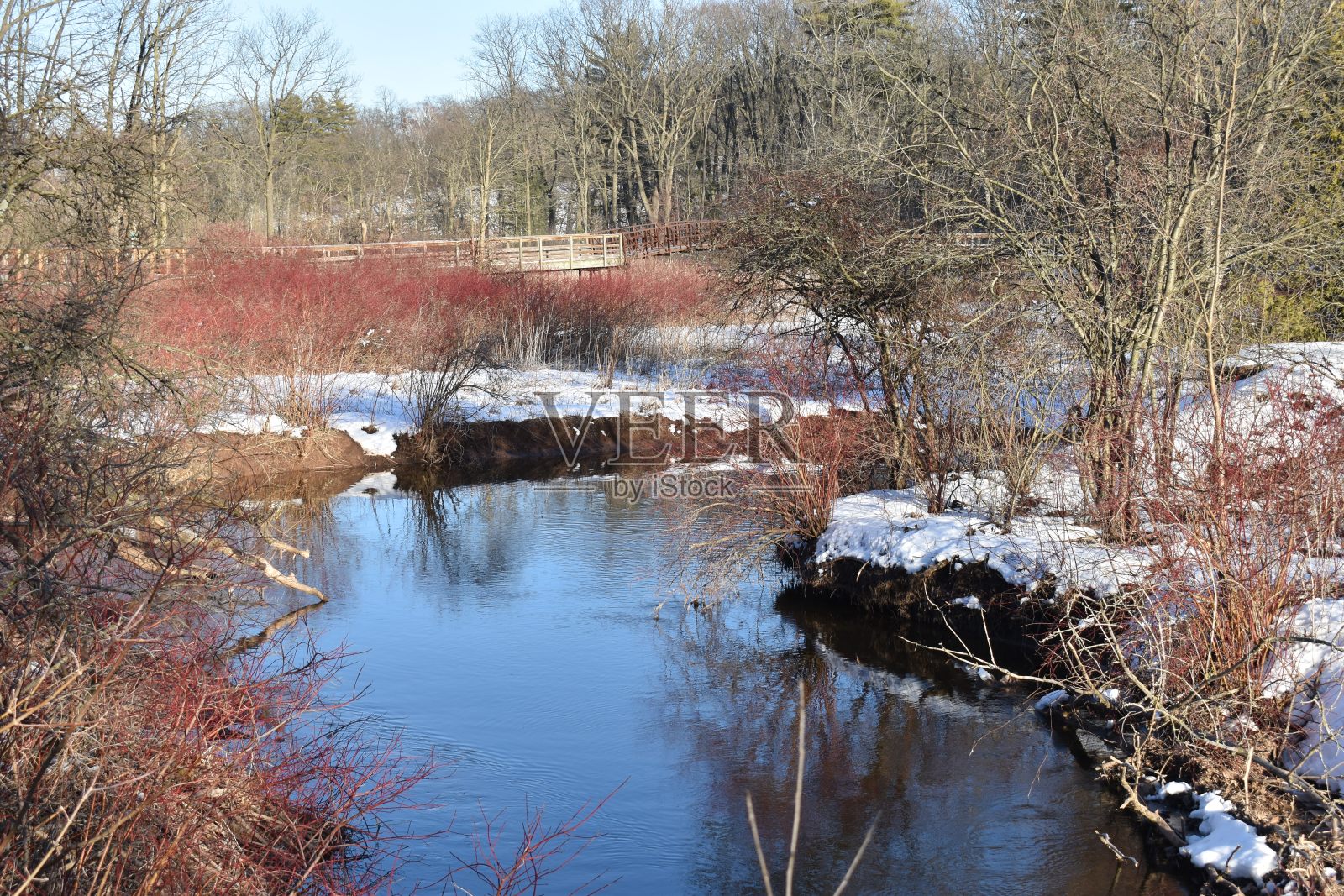 RBG Hendrie Valley避难所。照片摄影图片