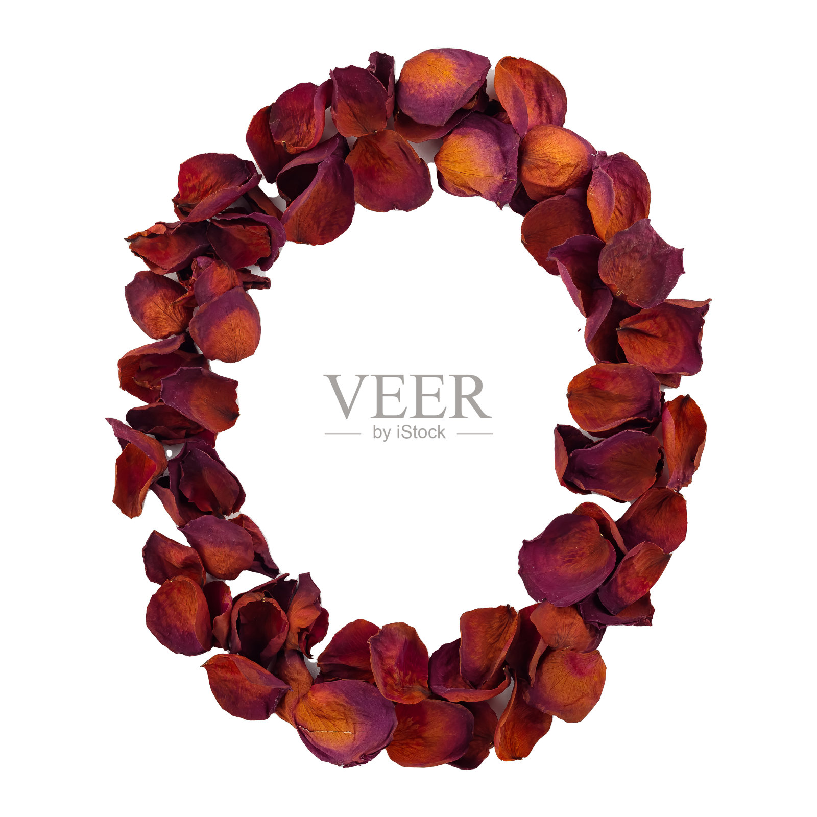 字母O来自干燥的红色玫瑰花瓣，孤立在白色背景上。自然排版，英文字母。玫瑰花瓣的设计元素照片摄影图片