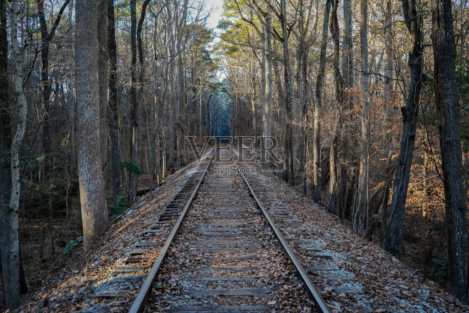 荒芜的铁路照片摄影图片
