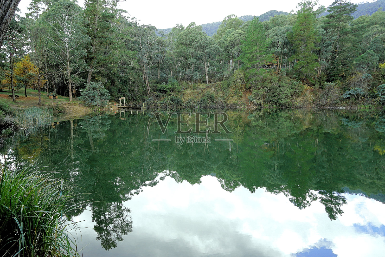 哈里特维尔，维多利亚，澳大利亚照片摄影图片