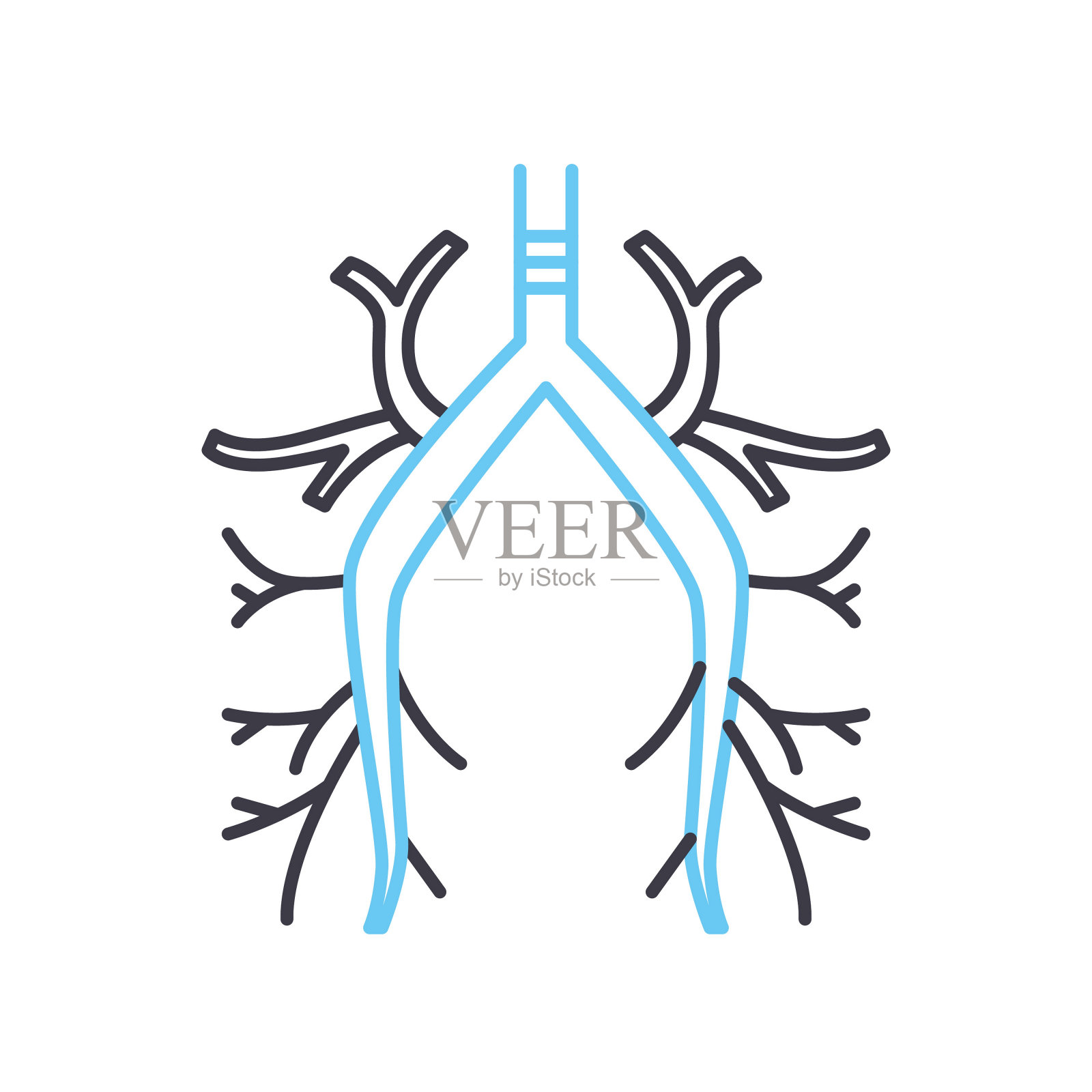 支气管线图标，轮廓符号，矢量插图，概念符号插画图片素材