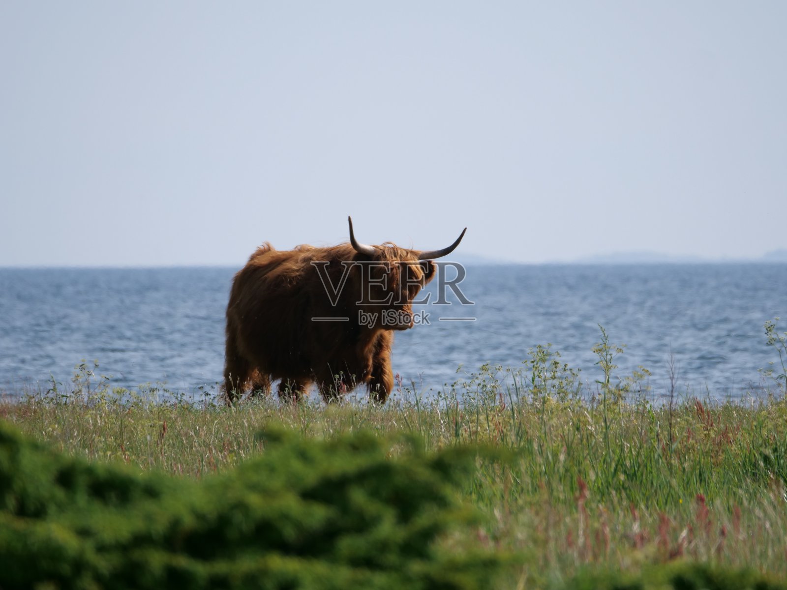 芬兰汝尔莫岛上美丽而崎岖的自然风光照片摄影图片