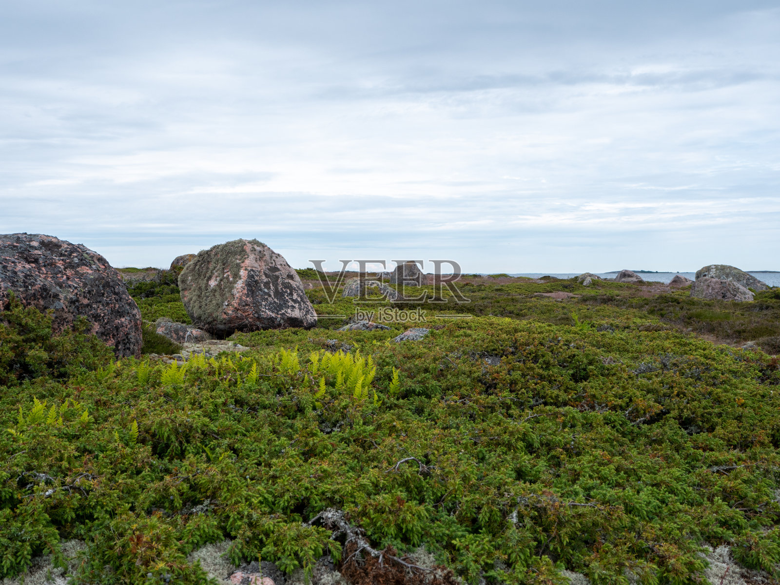 芬兰汝尔莫岛上美丽而崎岖的自然风光照片摄影图片