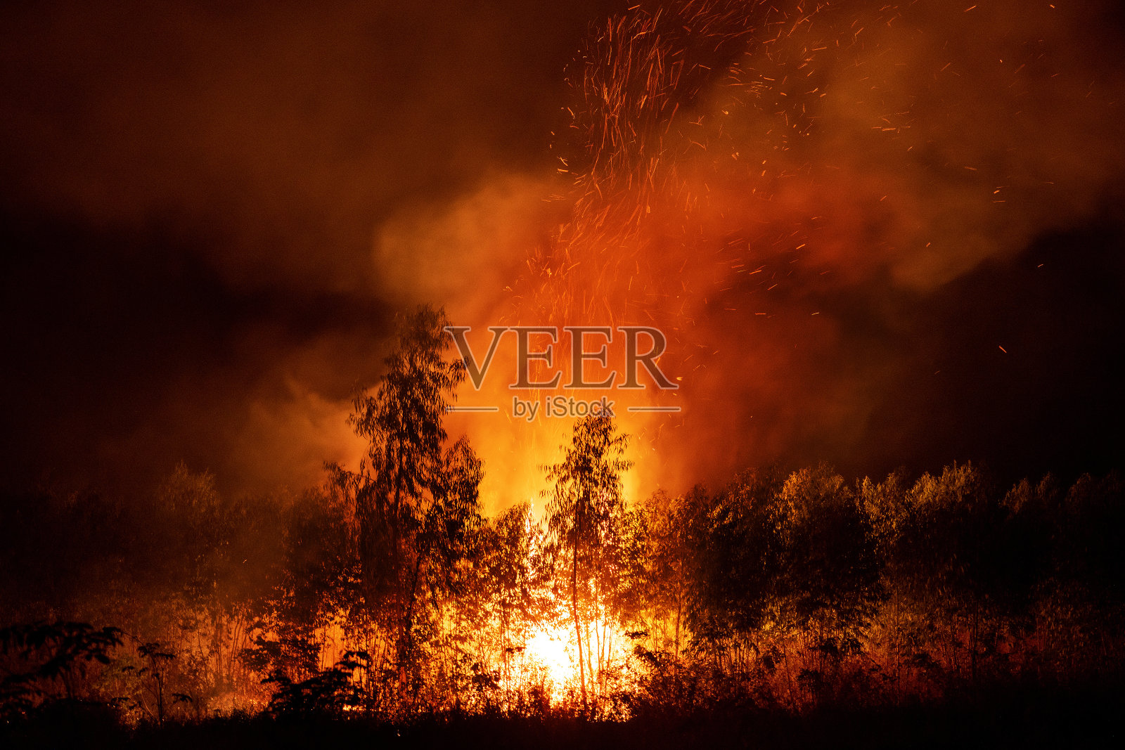 大火猛烈地摧毁了森林和树木，火焰和浓烟冲天。照片摄影图片