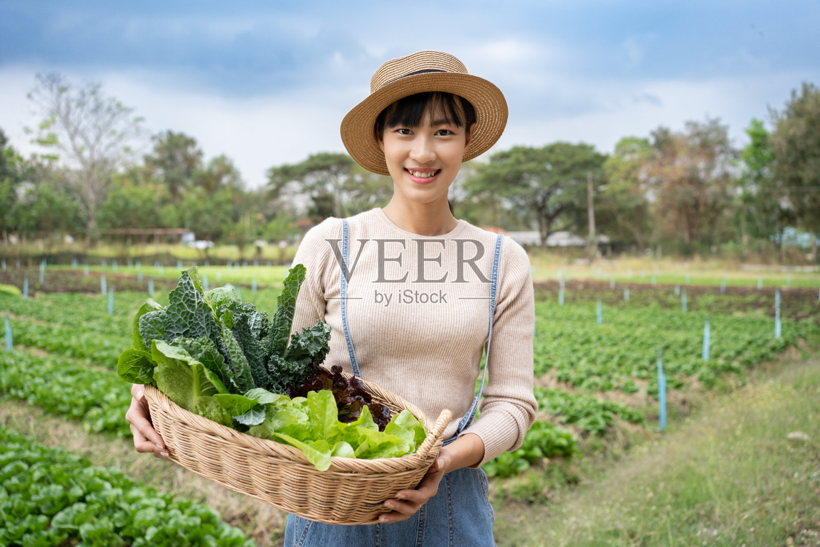 亚洲有机农场主照片摄影图片