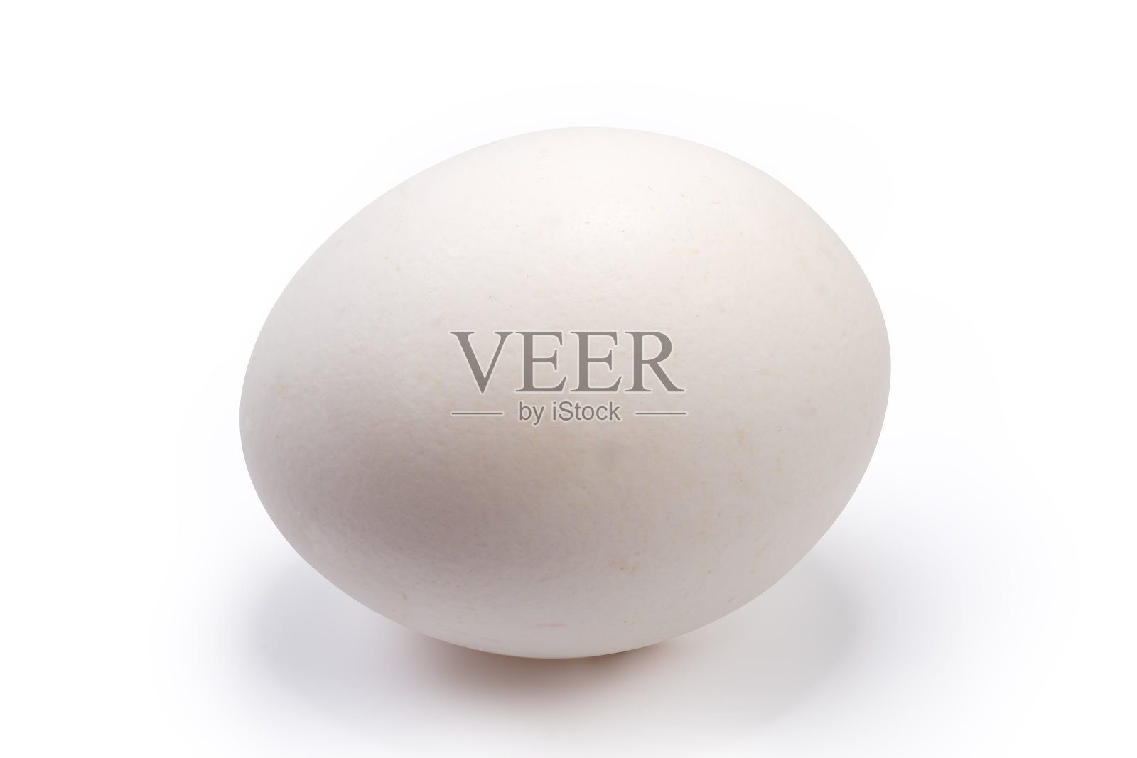 白色背景上的全白鸡蛋照片摄影图片