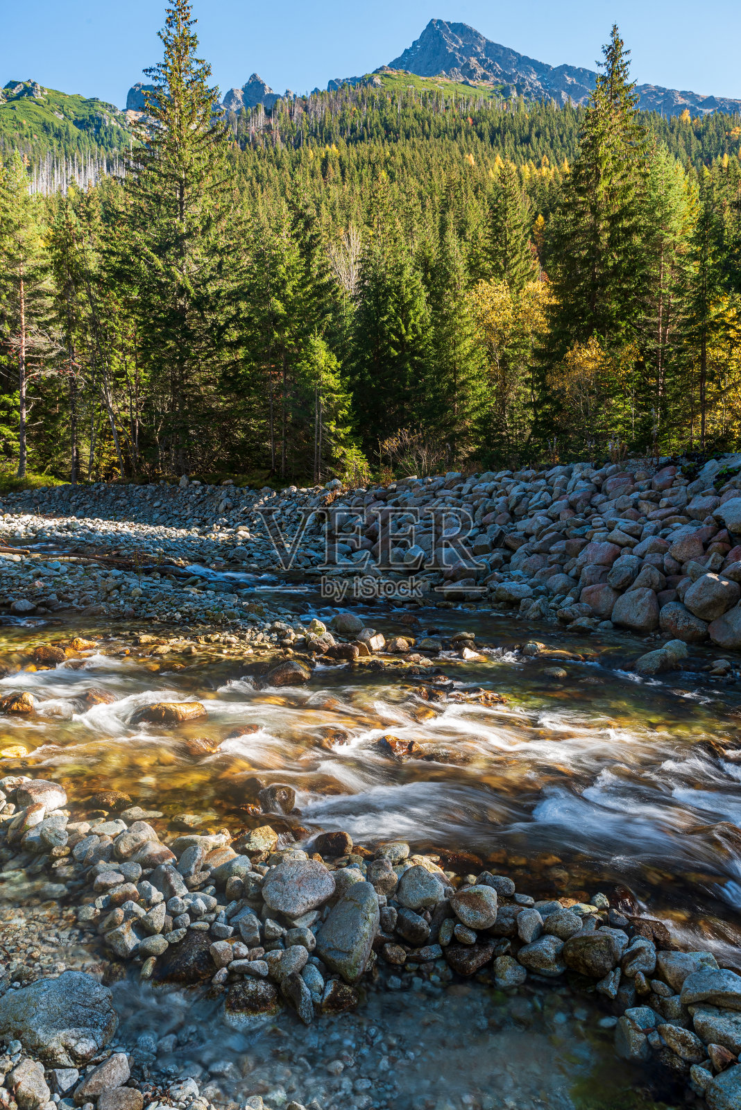 山脉河流与森林和岩石山峰之上-科普罗瓦多利纳山谷在塔特拉山脉在斯洛伐克照片摄影图片