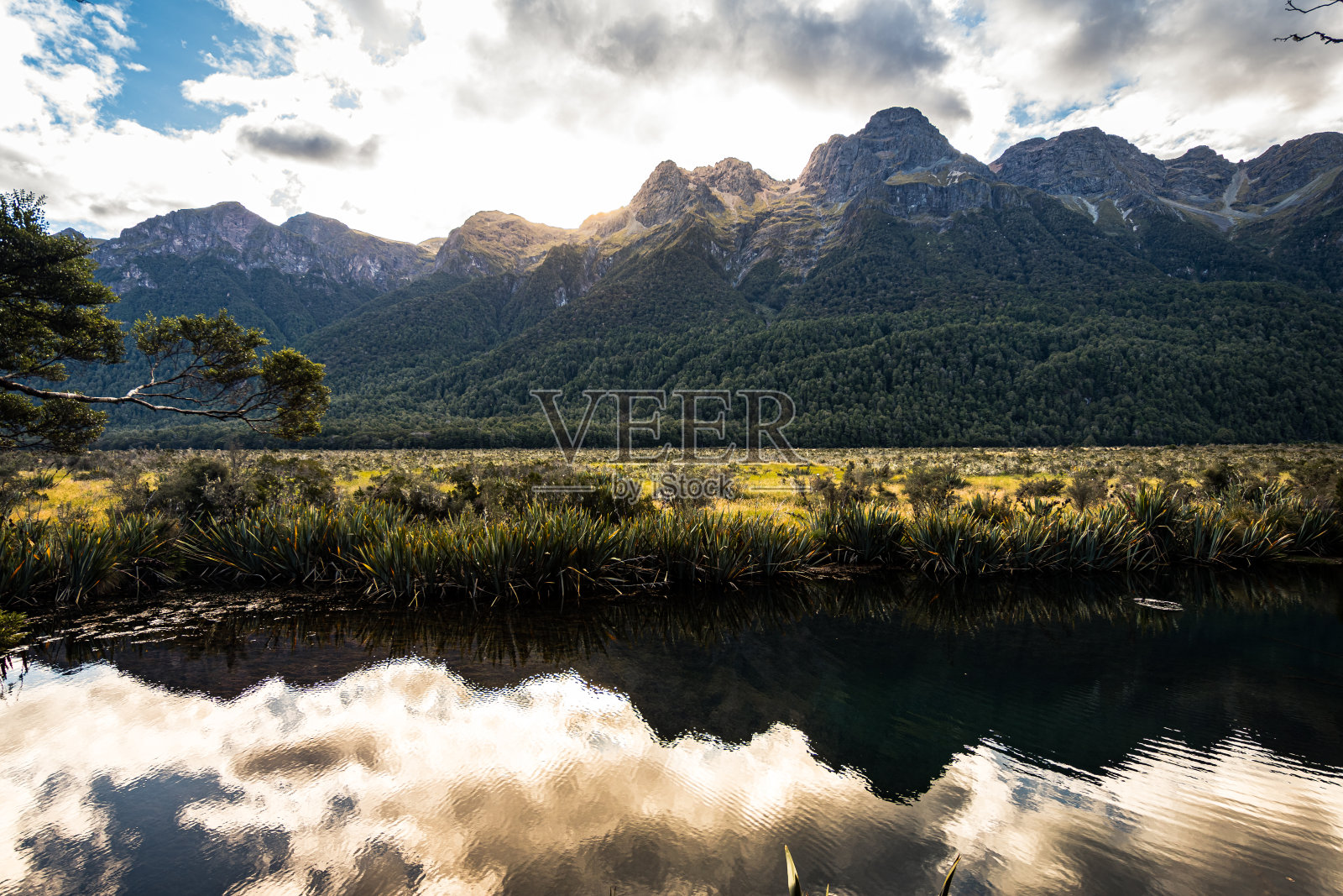 峡湾国家公园是新西兰最大的公园，里面有壮观的冰雕峡湾、湖泊和山谷照片摄影图片
