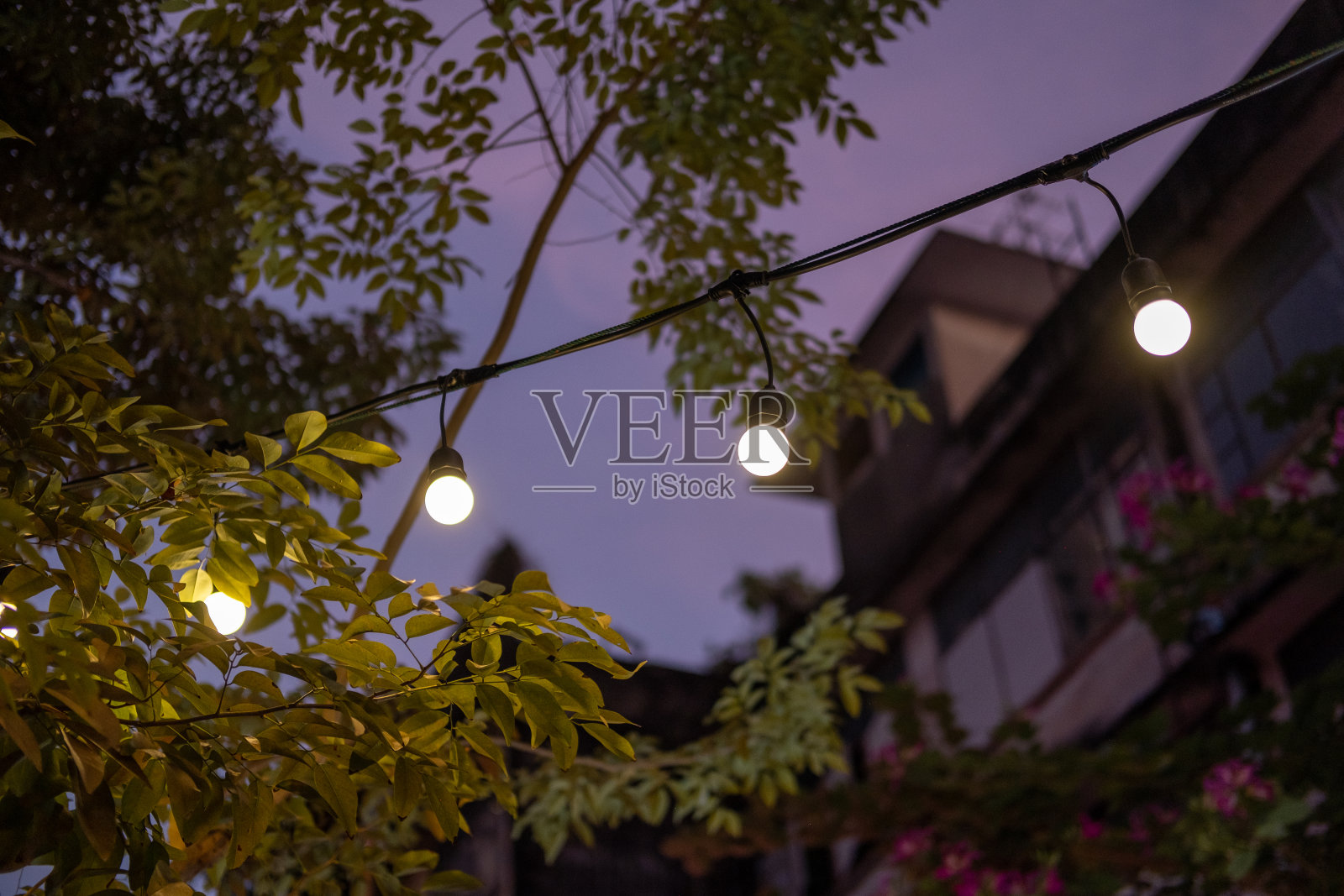 带有圣诞装饰的灯泡照片摄影图片