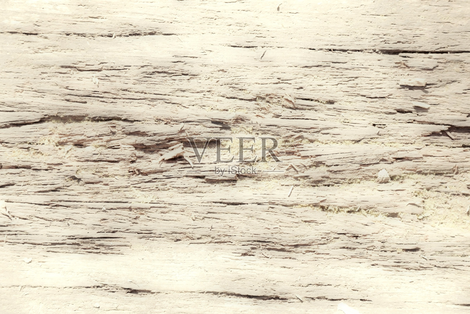 抽象纹理的老木纹在棕褐色的浅象牙背景像复古电影。照片摄影图片