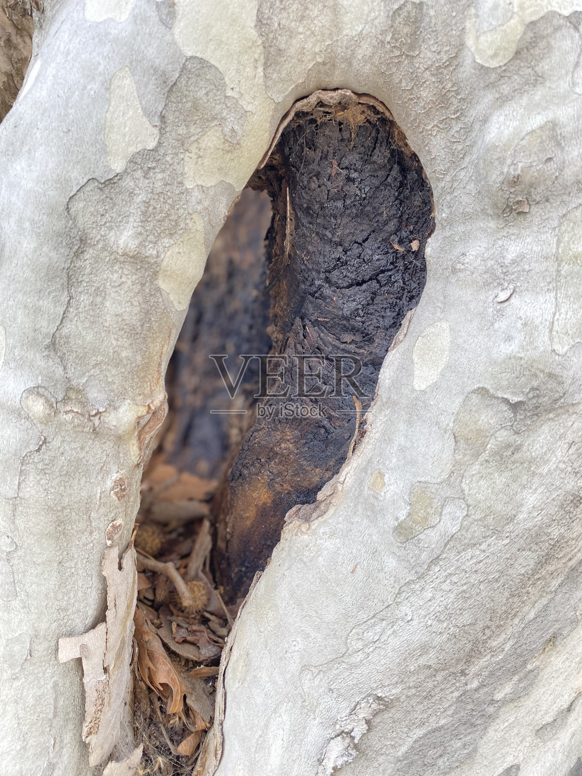 风化墙全幅拍摄照片摄影图片