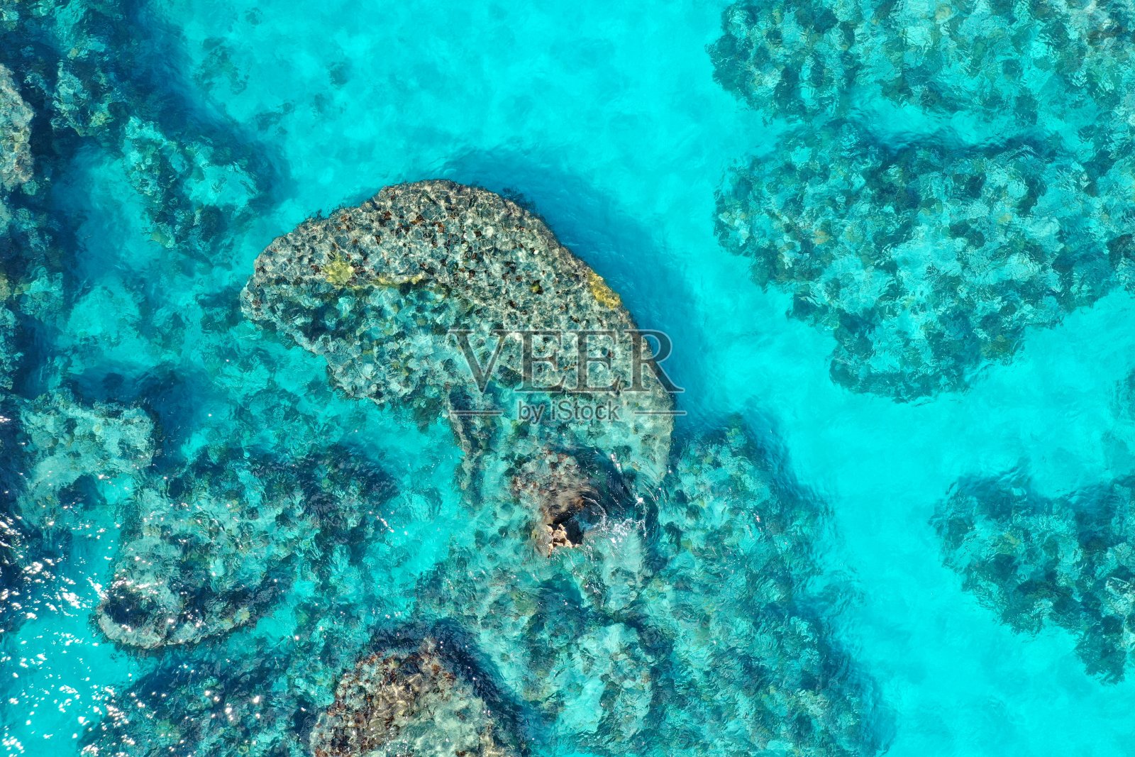 百慕大热带群岛照片摄影图片