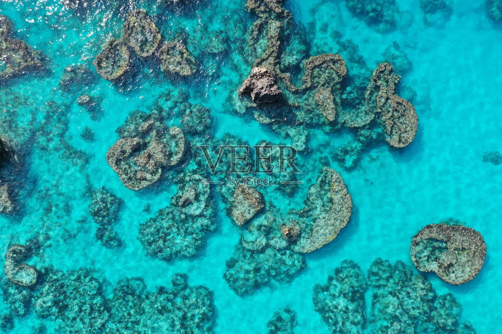 百慕大热带群岛照片摄影图片